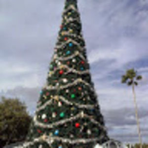 Meet your Posher, Tobi